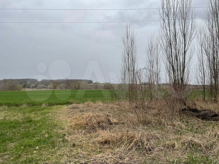 Участок 1,5 га (СНТ, ДНП)