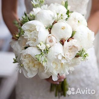 Цветы и Подарки