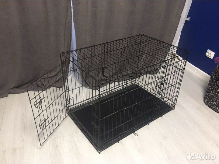 Клетка для собак,кошек-аренда