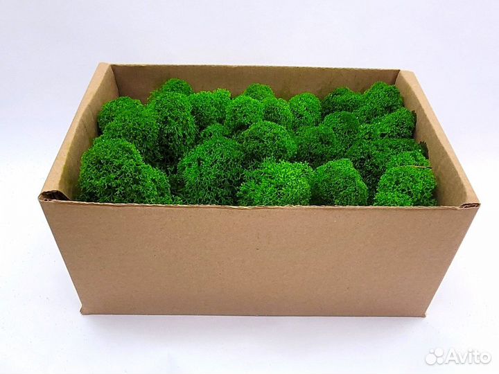 Декоративный мох 100 гр