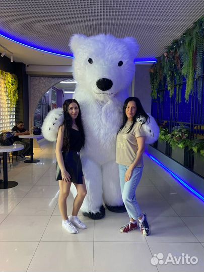 Белый Мишка /Панда / Чебурашка Поздравление