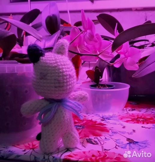 Вязаный котёнок