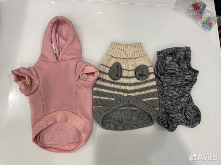 Одежда для собак мелких пород