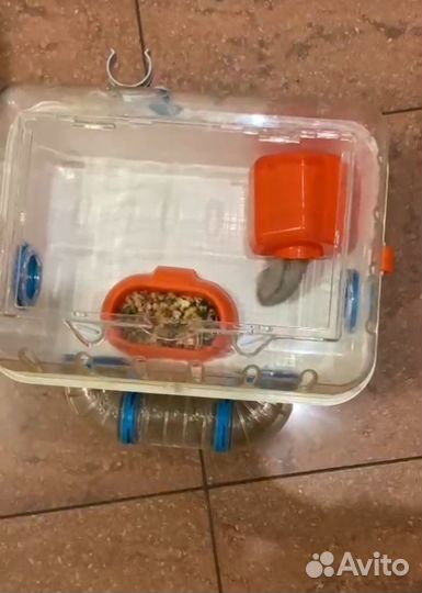 Хомяк с клеткой