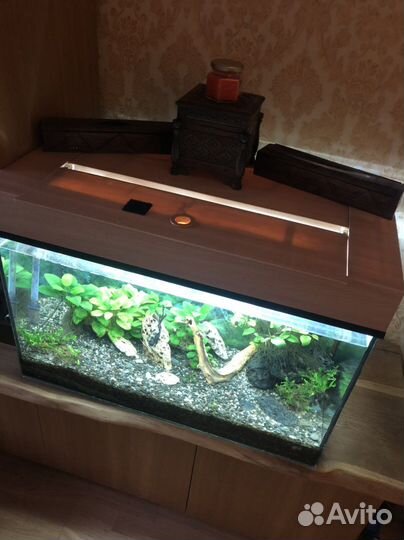 Аквариум 100л