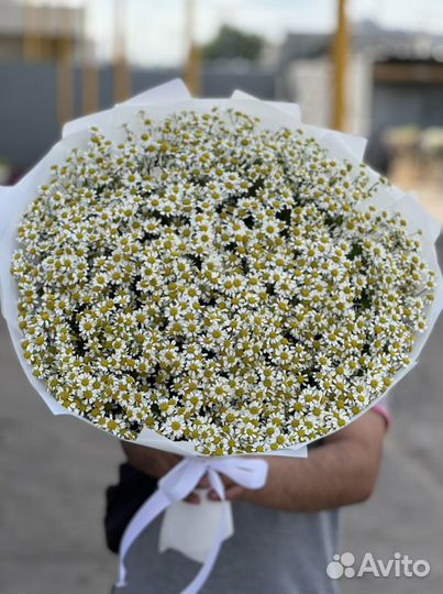Букеты из ромашек