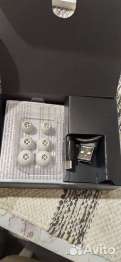 Sunnheiser momentum true wireless 2