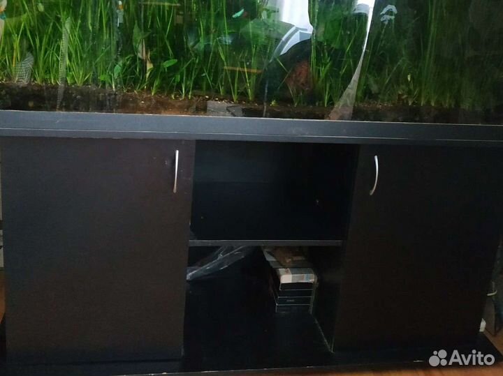 Аквариум на 500 литров