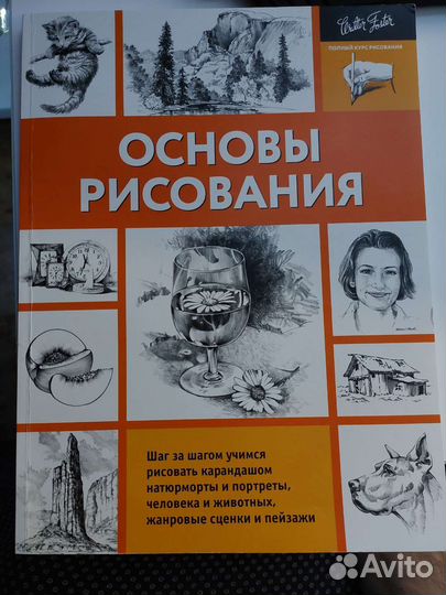 Основы рисования