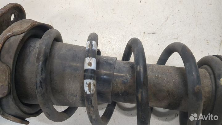 Амортизатор подвески Mini Cooper (R56), 2010