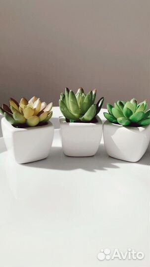 Суккуленты набор искусственный 3 шт