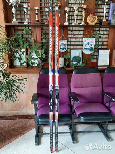 Беговые лыжи