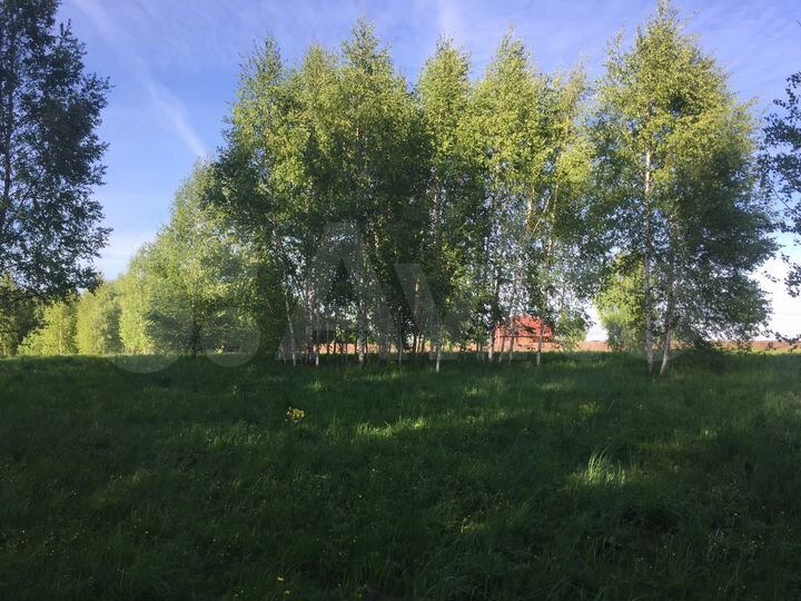 Участок 40 сот. (ИЖС)