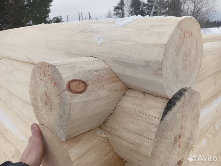 Сруб бани 6х4 в чашу, липа