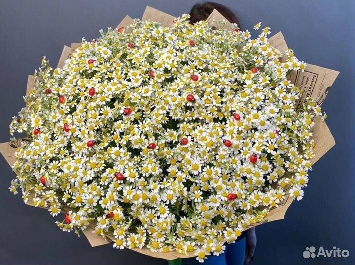 Ромашки пионы 101 роза с доставкой