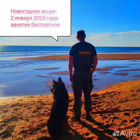 Кинолог. Зоопсихолог. Дрессировка. Выгул. Тренер