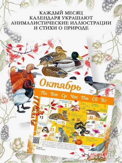 Календарь живой природы 2025 аст