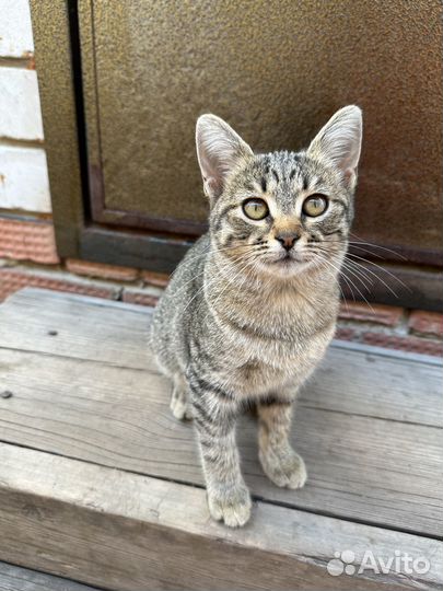 Малышка ищет семью