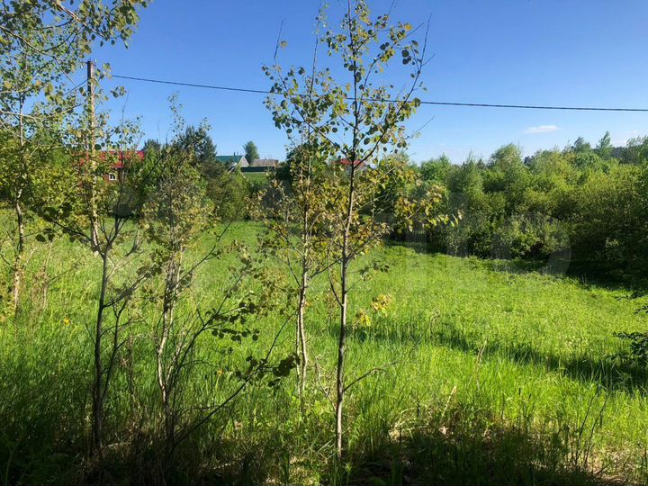 Участок 1,55 га (СНТ, ДНП)