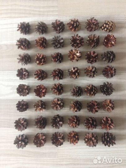Шишки сосновые д/поделок,декора,дизайна