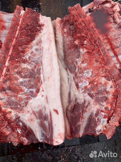 Мясо, свинина домашняя