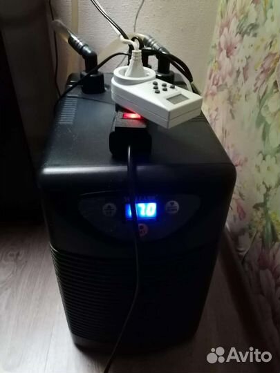 Аквариум с тумбой 160 л. с аксолотлями