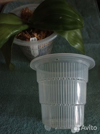 Горшки для орхидей