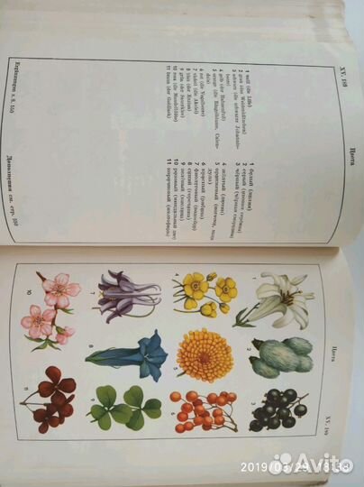 Немецко-Русский словарь с иллюстрациями