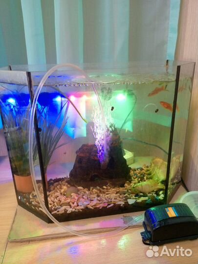 Аквариум 15 литров