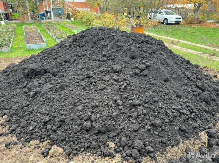 Чернозем