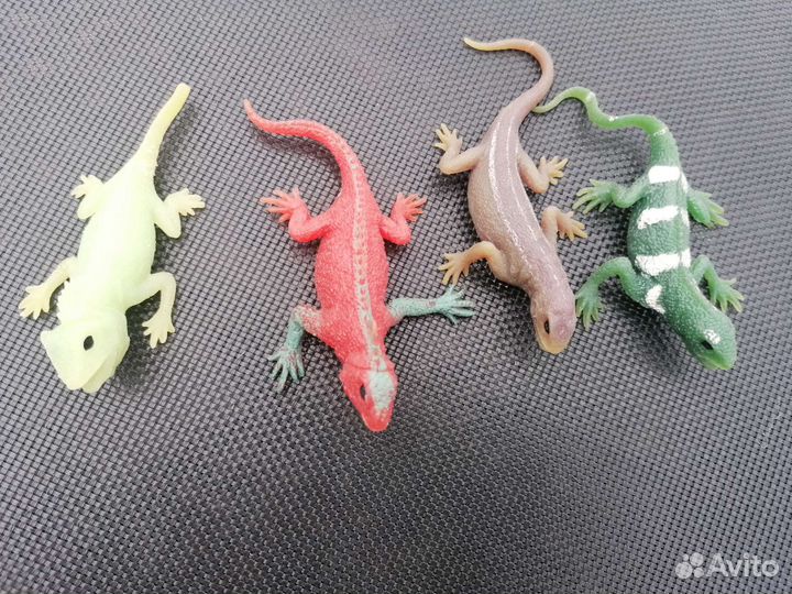 Ящерицы Дегостини