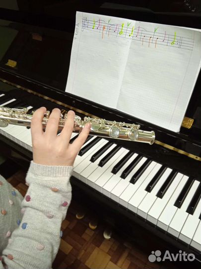 Репетитор музыки, флейта, теория музыки