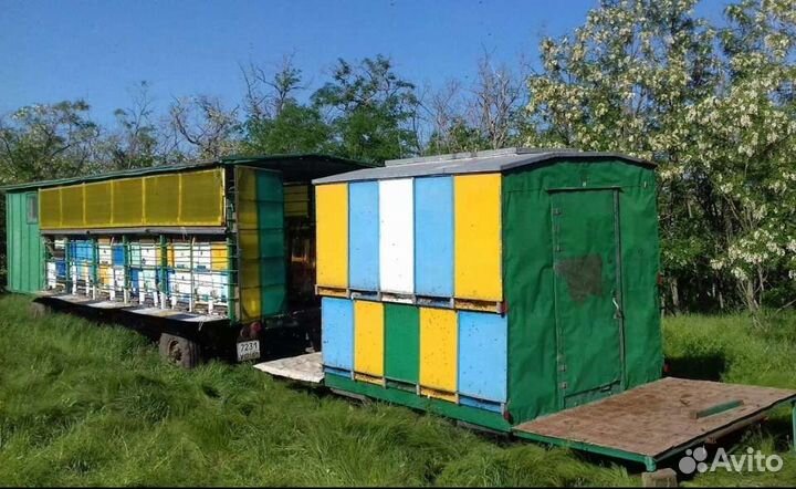 Мед акации св. урожай 2023 г