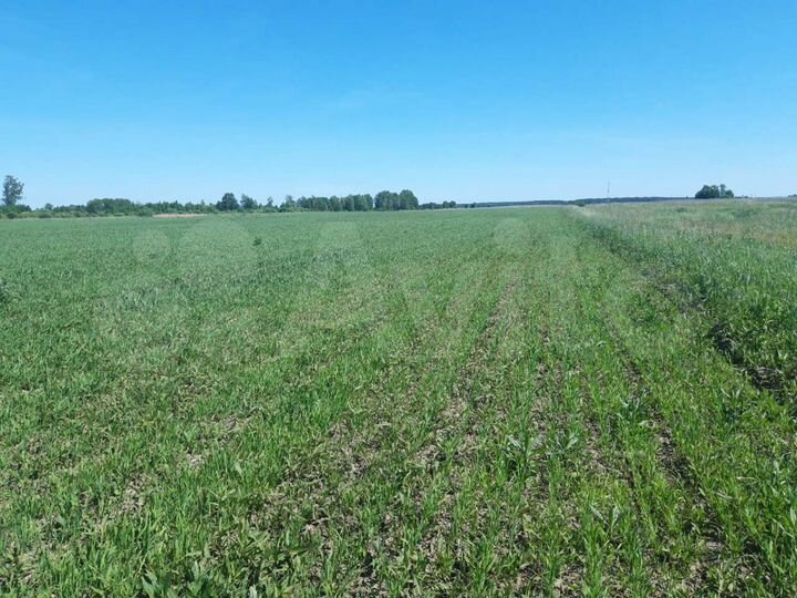 Участок 5,92 га (СНТ, ДНП)