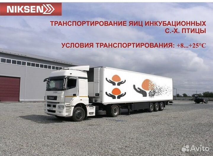 Цыплятовозы - Разработка, проектирование niksen