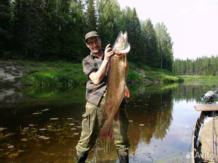 Продаются Охотничьи угодья 300 тысяч гектаров