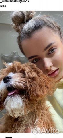 Мальтипу и кавапу