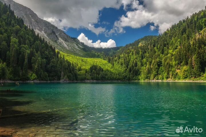 Тур в Abkhazia от 7 ночей за 2-х человек