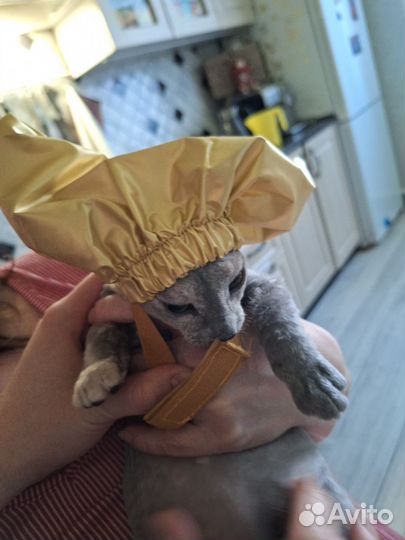 Шапочка для купания кошек и собак