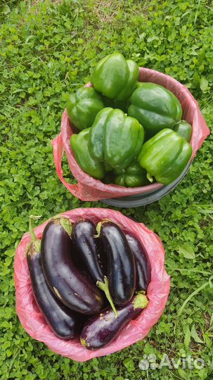 Перец болгарский и баклажаны оптом