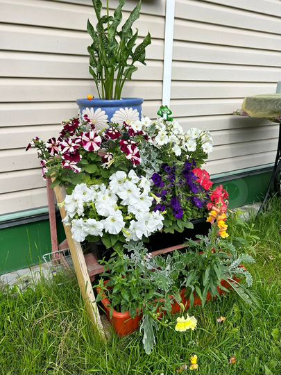 Дача 60 м² на участке 6 сот.