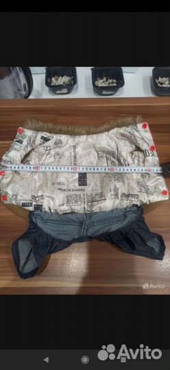 Крутые костюмы для собачек