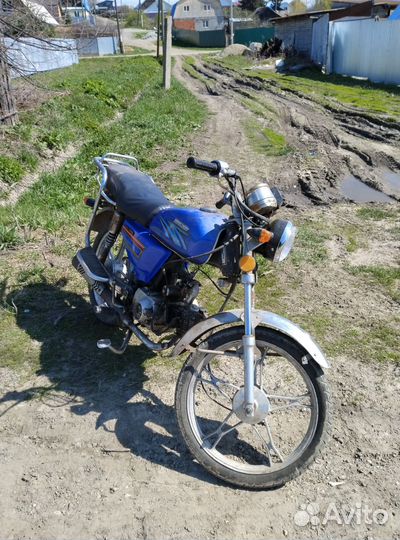 Alpha racer 110