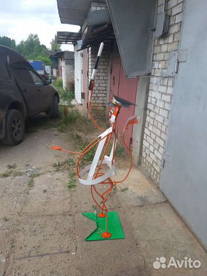 Кот садовый