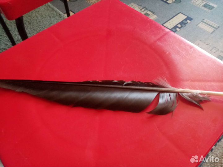 Перо ворона