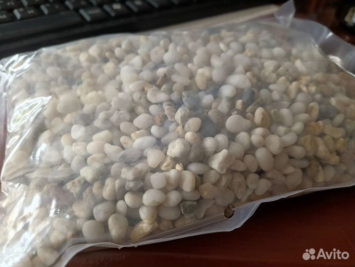 Террариум вертикальный для рептилий