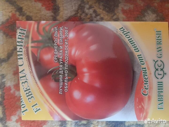 Рассада помидоров