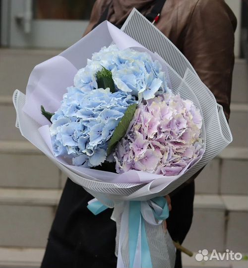 Монобукет из гортензий №5