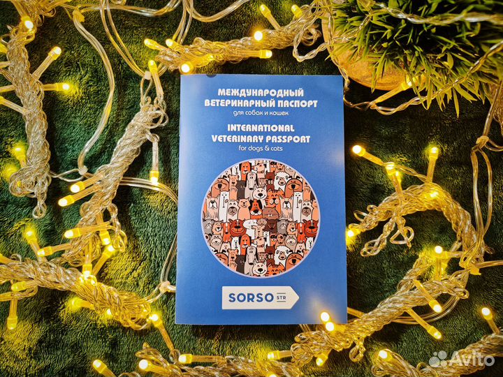 Ветврач,Ветеринарный паспорт с прививками,Титры,Ф1