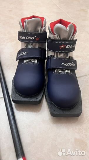 Беговые лыжи Active larsen